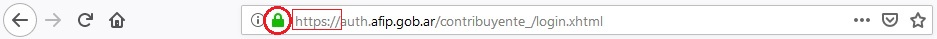 Imagen de ejemplo del navegador Firefox acerca de cómo la dirección web debe comenzar con https:// para comprobar la autenticidad y seguridad del sitio